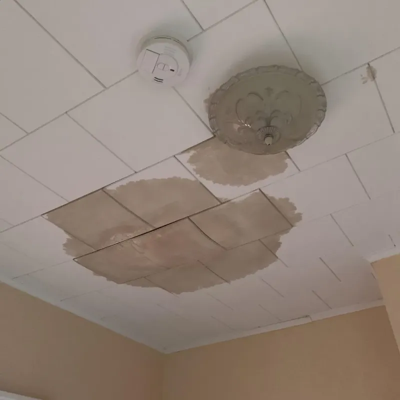 Ceiling Water Damage Repair in Sixteen Mile Stand, OH